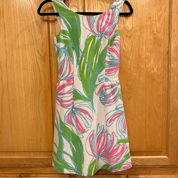 Lilly Pulitzer Pink and Green Floral Dress - Picture 1 of 6